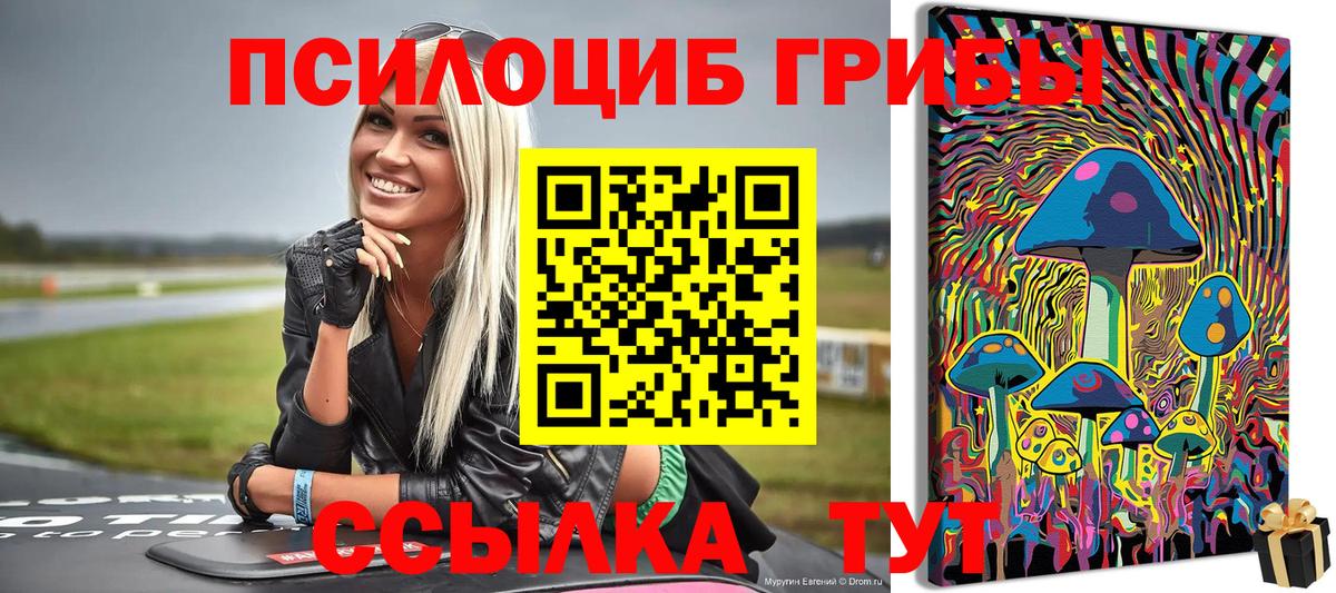 Псилоцибиновые грибы Cubensis Великий Устюг